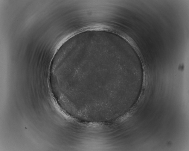 X0000114990850200911231140