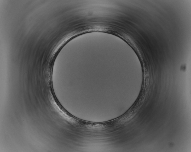 X0000114990851200911231140