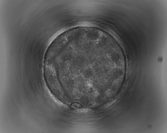 X0000114990853200911231140