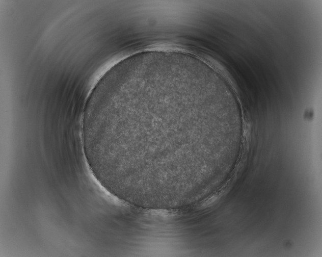 X0000114990855200911231140