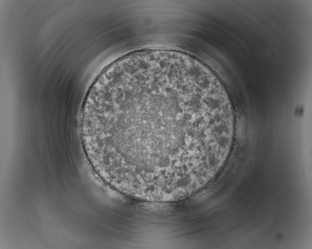 X0000114990856200911231140