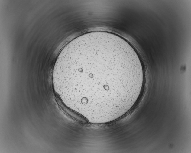 X0000114990857200911231140