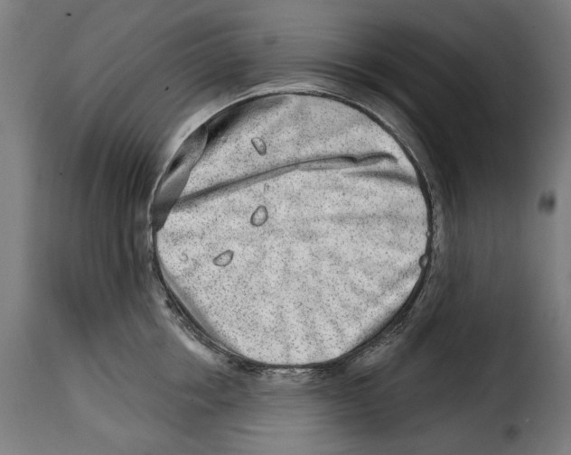 X0000114990858200911231140