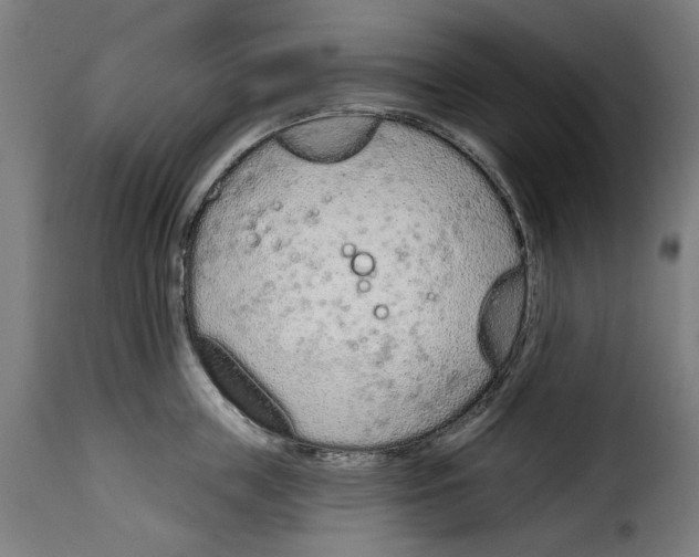 X0000114990859200911231140