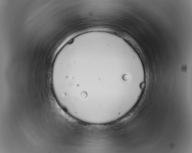 X0000114990860200911231140