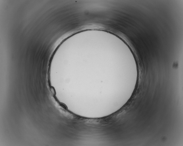 X0000114990861200911231140