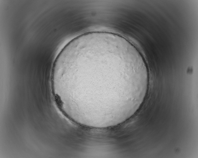 X0000114990863200911231140