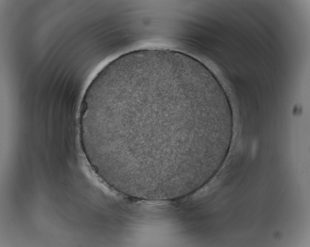 X0000114990864200911231140