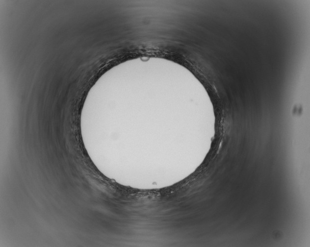 X0000114990865200911231139