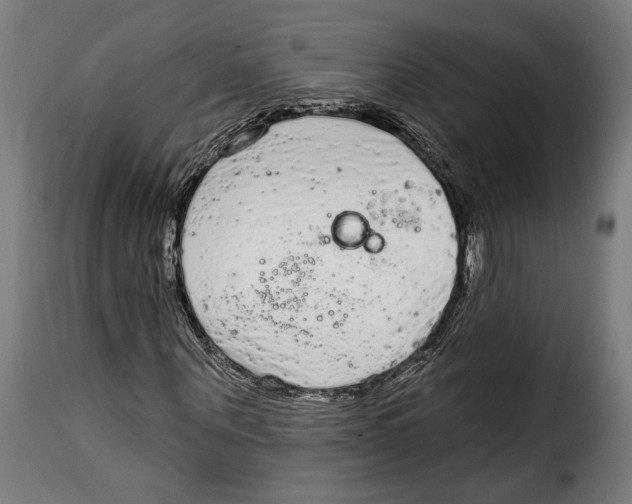 X0000114990867200911231139