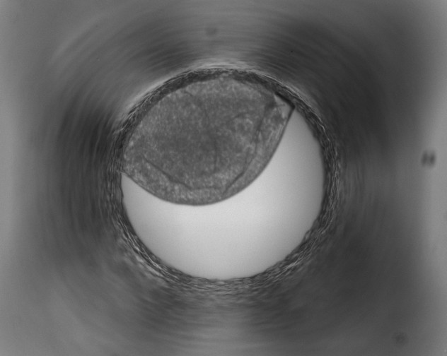 X0000114990872200911231139