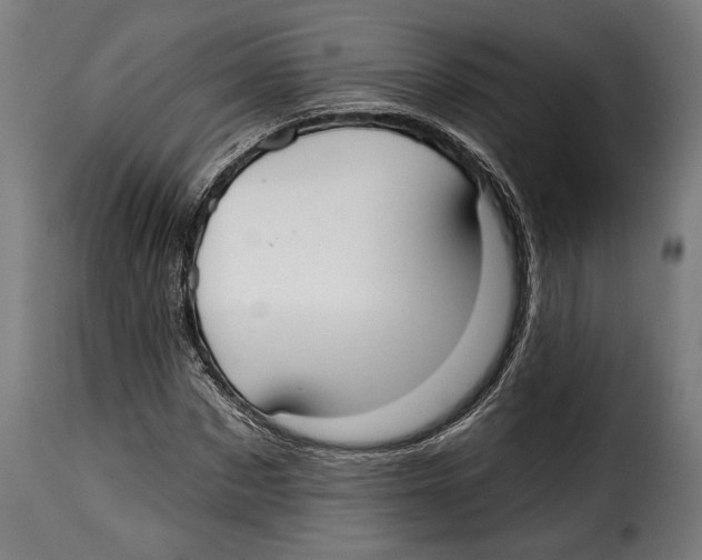 X0000114990873200911231139