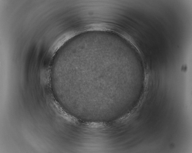 X0000114990874200911231139