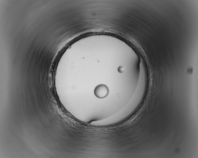 X0000114990876200911231139