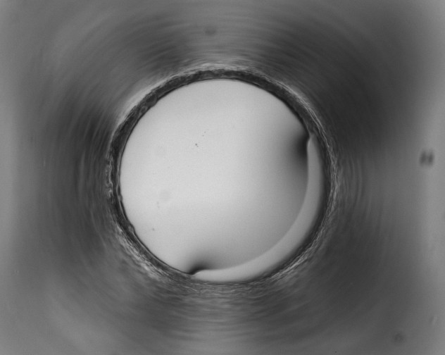 X0000114990878200911231139