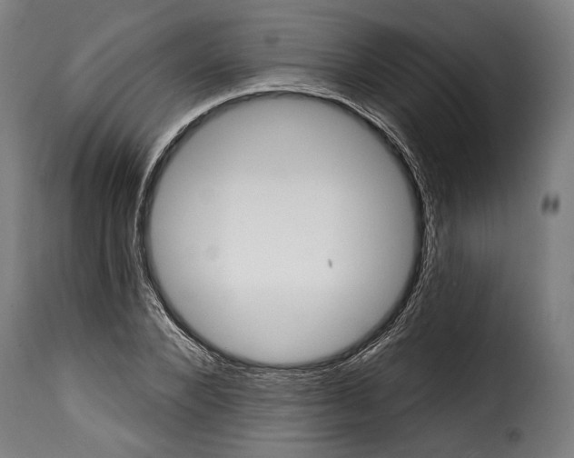 X0000114990880200911231139