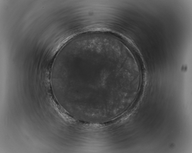 X0000114990881200911231139