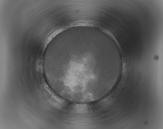 X0000114990882200911231139