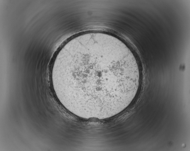 X0000114990883200911231139