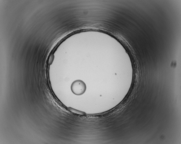 X0000114990884200911231139