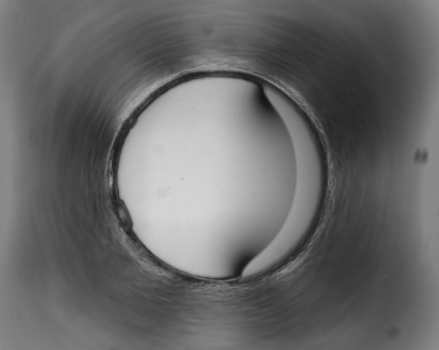 X0000114990885200911231139