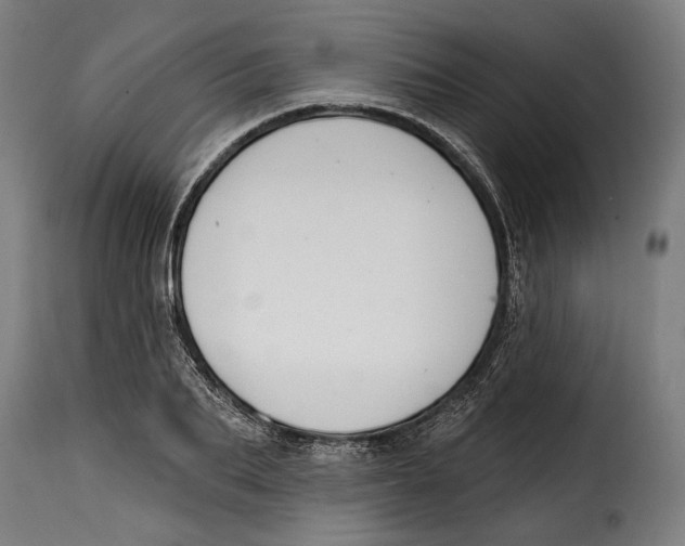 X0000114990887200911231139