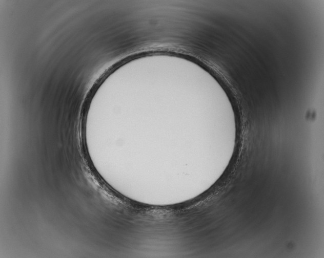 X0000114990888200911231139