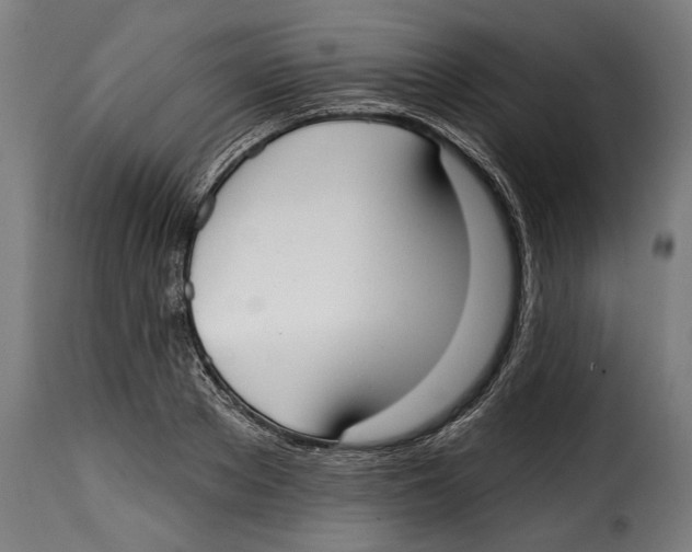 X0000114990889200911231139