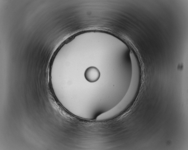 X0000114990892200911231139