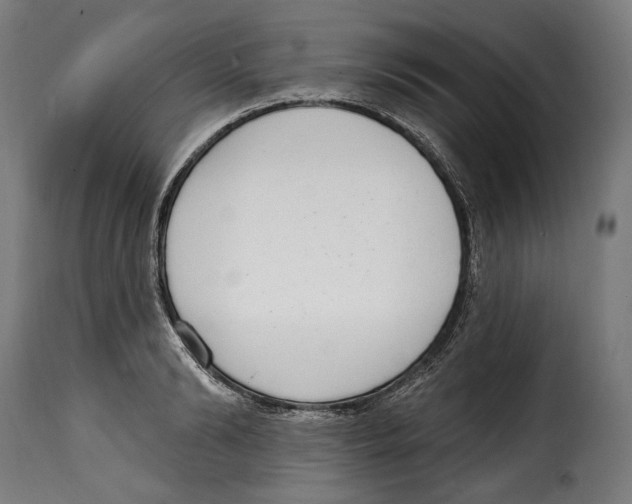 X0000114990894200911231139