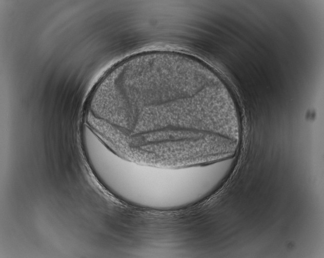 X0000114990896200911231139