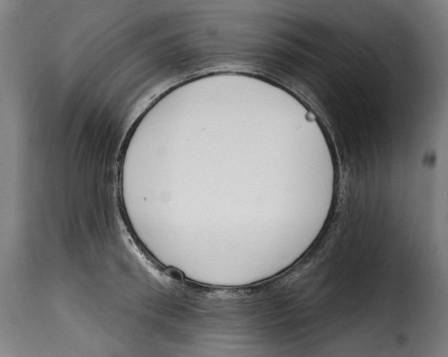 X0000114990898200911231139