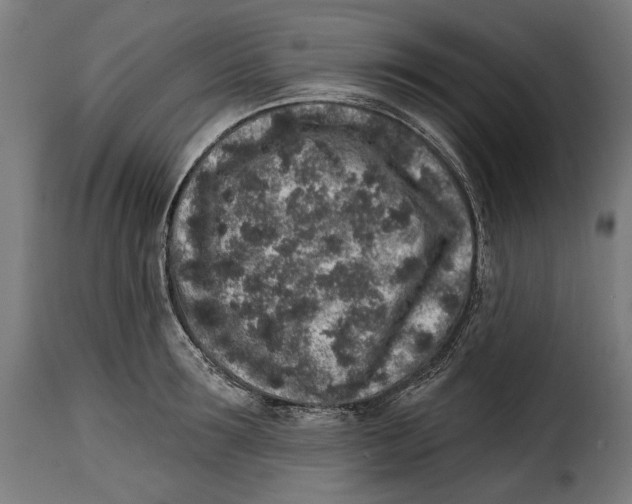 X0000114990899200911231139