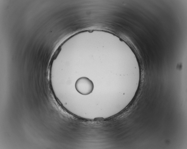 X0000114990900200911231139