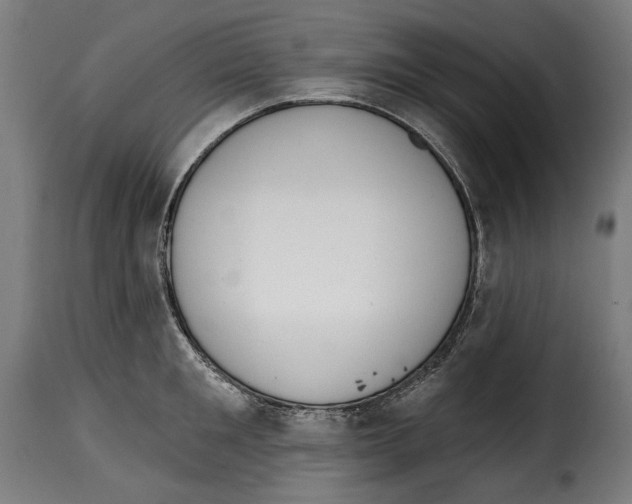 X0000114990901200911231139