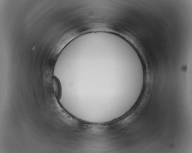 X0000114990905200911231139