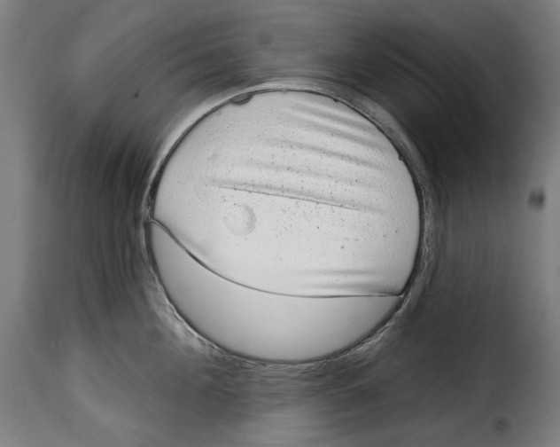 X0000114990908200911231139