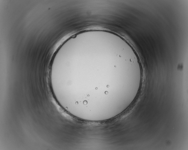 X0000114990909200911231139