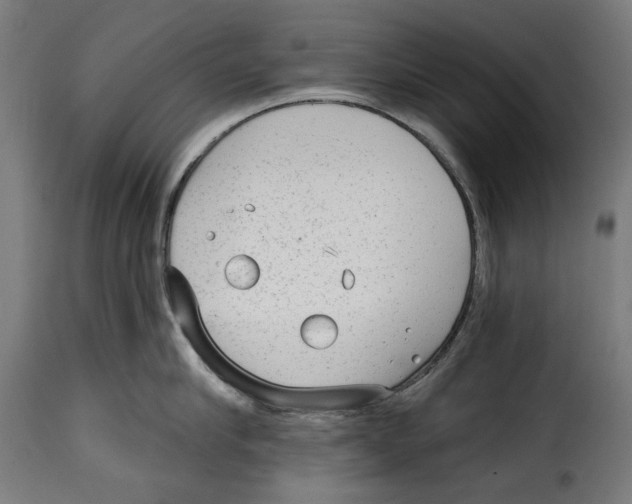 X0000114990910200911231139