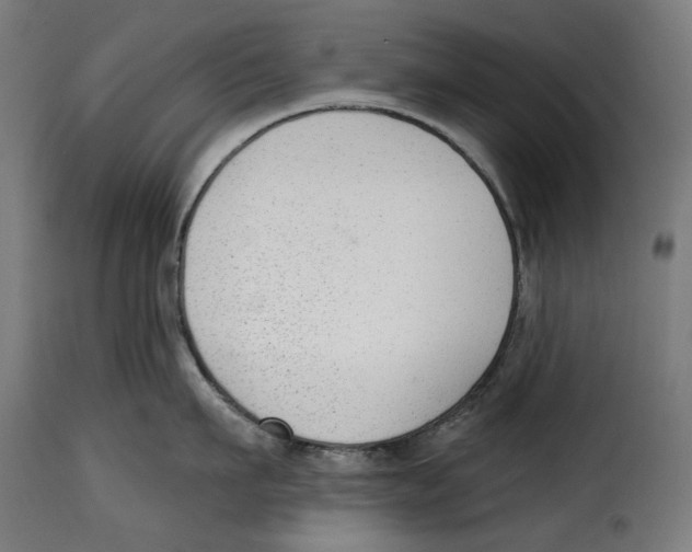 X0000114990911200911231139