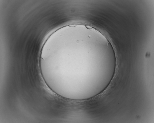 X0000114990912200911231139