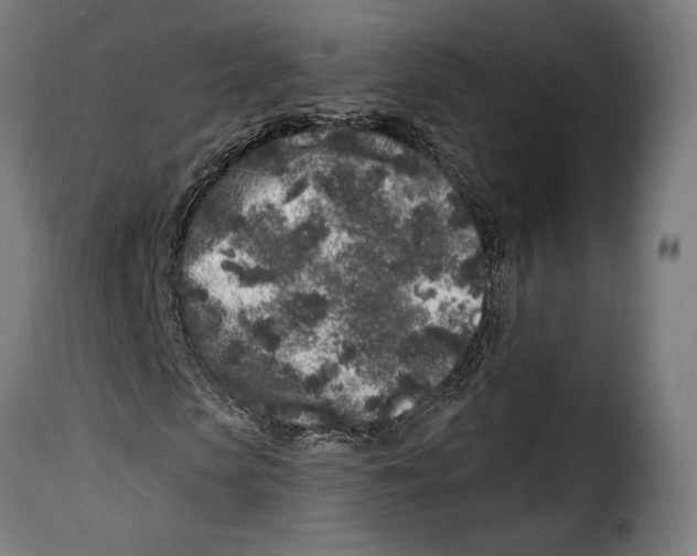 X0000114990913200911231138