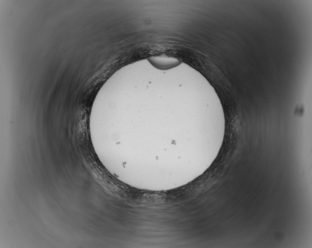 X0000114990914200911231138