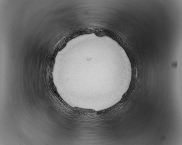 X0000114990915200911231138