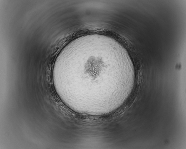 X0000114990917200911231138