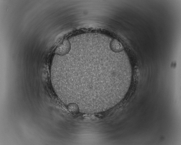 X0000114990918200911231138