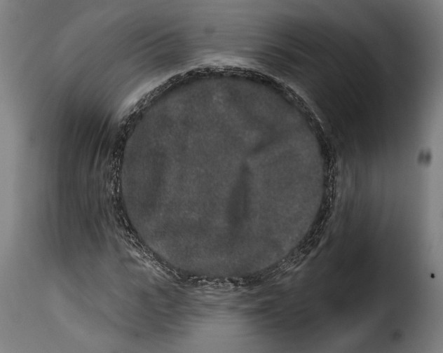 X0000114990919200911231138