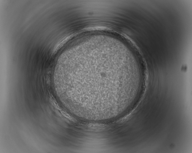 X0000114990921200911231138