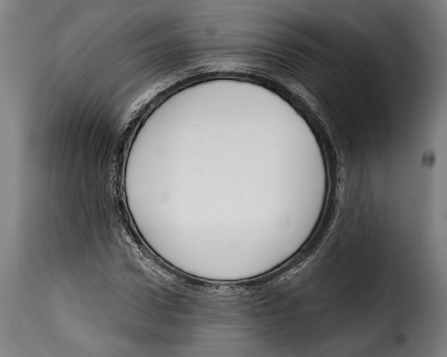 X0000114990922200911231138