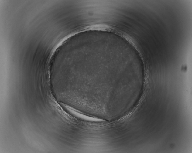 X0000114990923200911231138